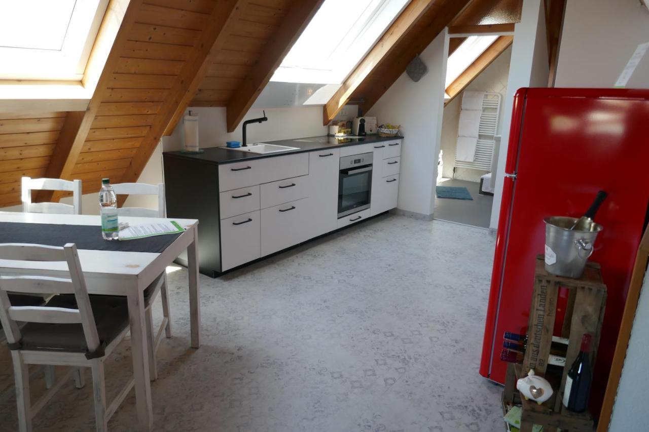 Moderne 2 Zi - Fewo Weinbergliebe Am Tuniberg Zwischen Freiburg Und Frankreich Merdingen Buitenkant foto